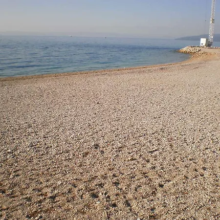 Holiday Drobnjak